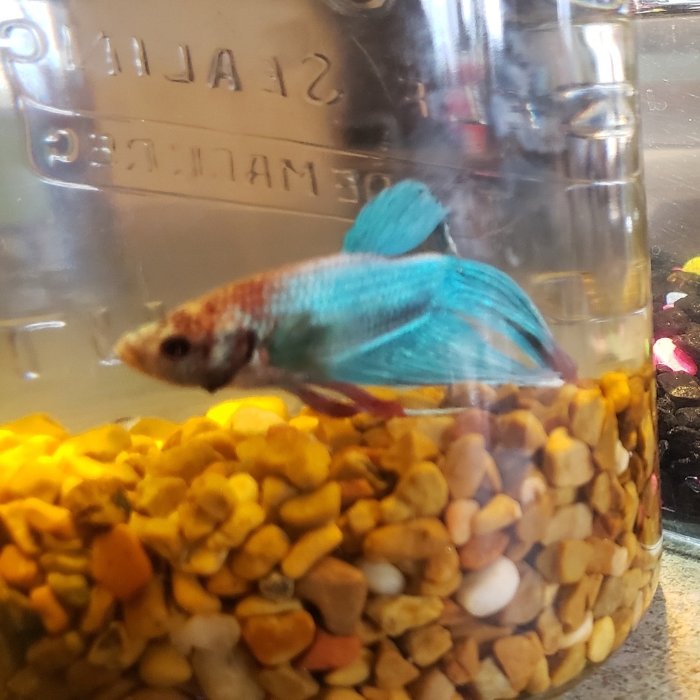 Meet your Posher, Cindy